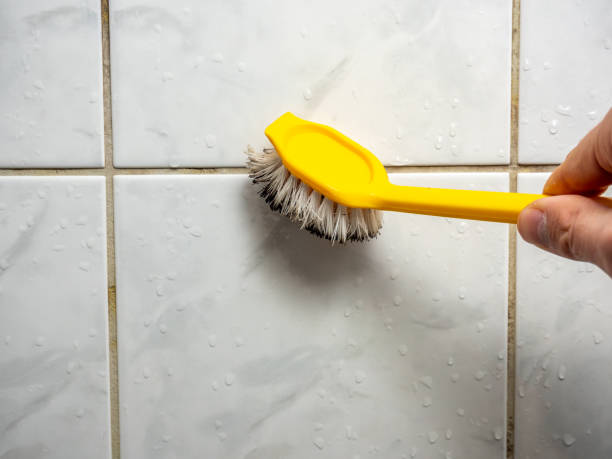 Best Mold Removal and Inspection  in Churubusco, IN