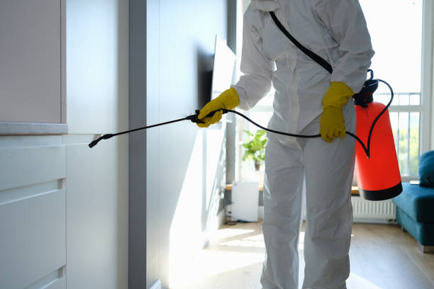 Best Residential Mold Removal  in Churubusco, IN