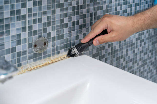 Best Mold Removal Near Me  in Churubusco, IN